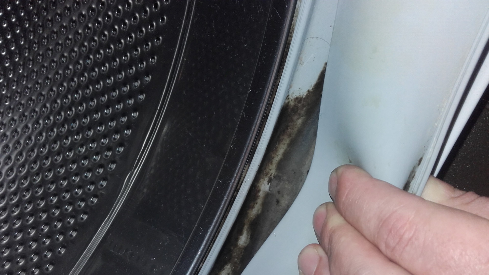 7 Signs that Mold is Growing Inside Your Appliance Water Lines and Pipes - Appliance Express