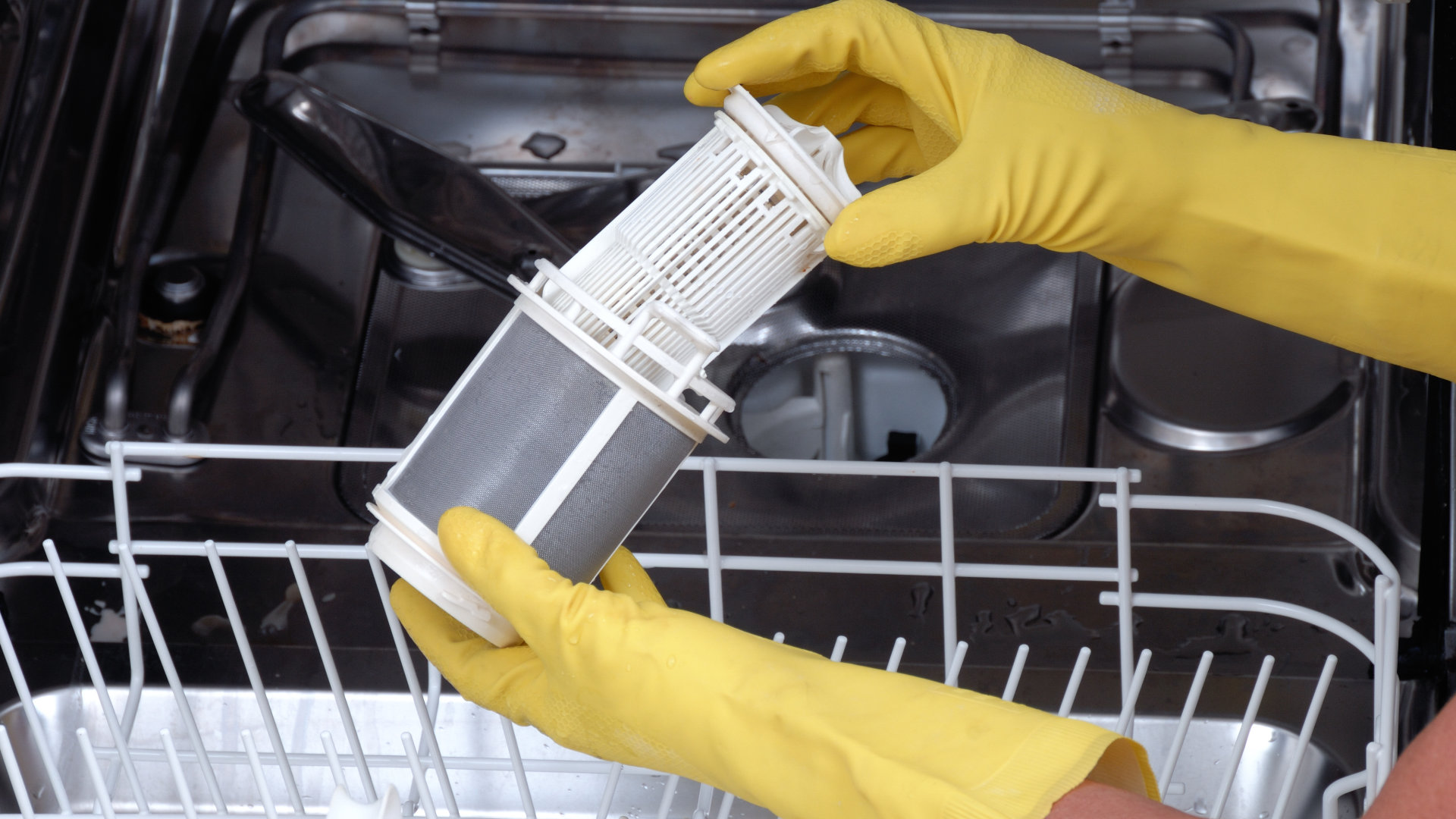 How to Clean a Smelly Dishwasher: 10 Steps - Appliance Express